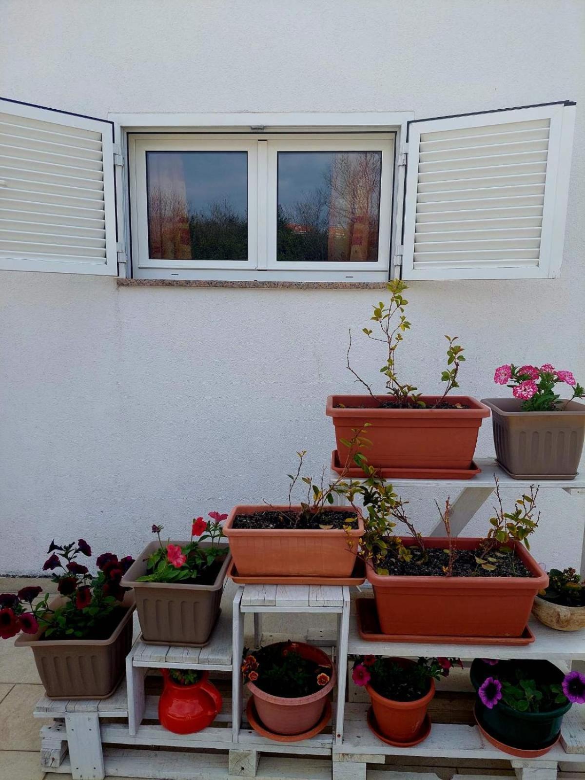 Rooms Hodanic Krk Town Quarto foto